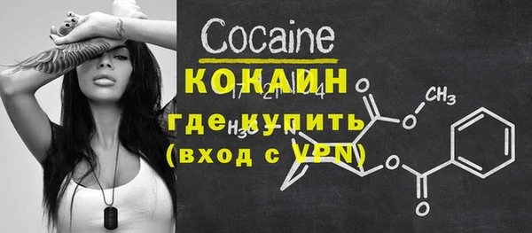 индика Абаза