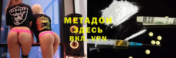 индика Абаза