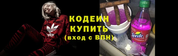 индика Абаза