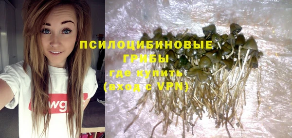 индика Абаза