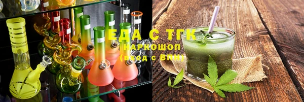 индика Абаза