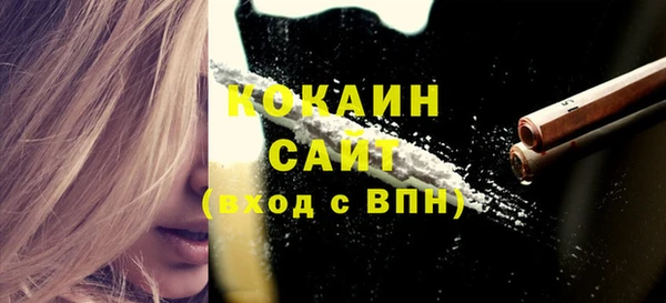 индика Абаза